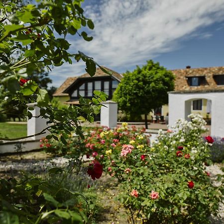 Videki Haz Guest House Tagyon Exterior photo